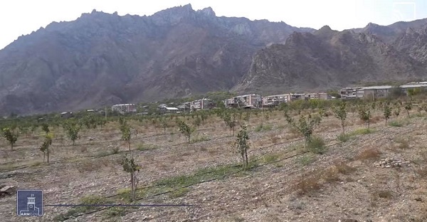 Պիստակի և կիվիի այգիներ Սյունիքի մարզում