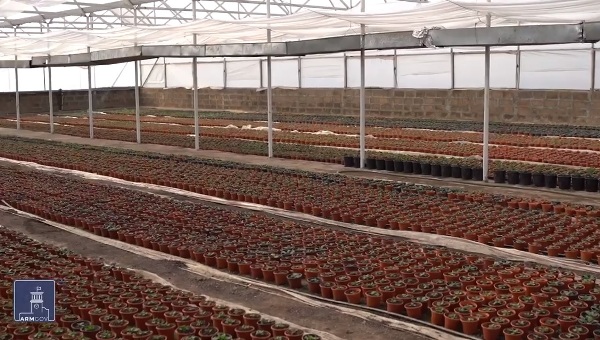 Նոր տեխնոլոգիաներով հագեցած ջերմատուն՝ պետության աջակցությամբ