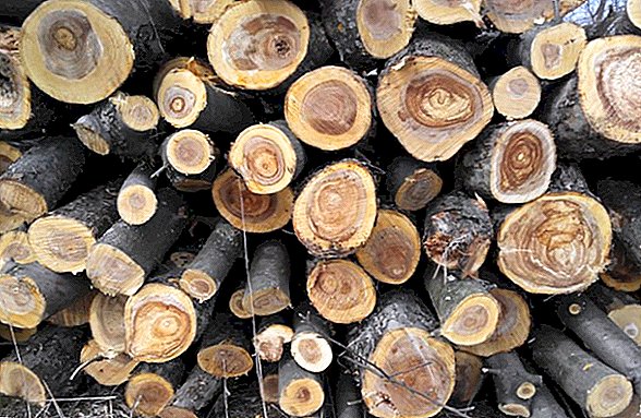 Վառելափայտով բարձված մեքենաները անհիմն պահվում են ոստիկանությունում․ «Շիրակ Կենտրոն» ՀԿ նախագահ