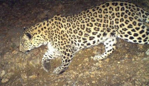 «Ամփոփենք տարին այս ոգևորիչ տեսանյութով»