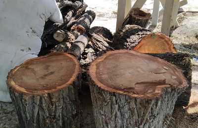 Պատասխանը պահանջում եմ շինթույլտվություն տվողից. Լևոն Զաքարյան