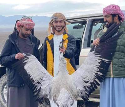 Արաբ շեյխերը որս են անում Արցախում