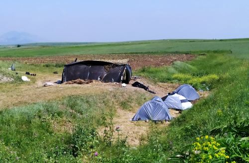 Տեսեք ձեր պահած բանակը․ Դավիթ Գրիգորյան