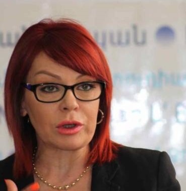 Իրավապաշտպանը՝ իրավունքի դեմ. Մարինա Պողոսյանը փորձում է իր մեքենայի վնասը «թանկ վաճառել»