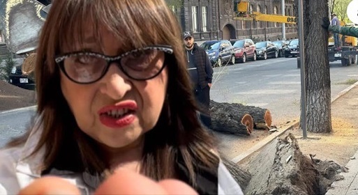 «Սա՞ է քաղաքապետարանի դեմքը»․ Քրիստինա Վարդանյան