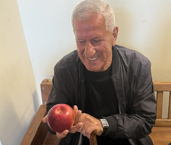 Փաշինյանի ուղղությամբ խնձոր նետած Ալբերտ Առստամյանն արդարացվեց