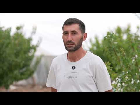 Ադրբեջանցիները հիմա հաղթած են, բայց իրանք վախկոտ են․․․Սարգիս Առաքելյան