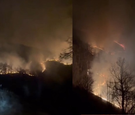 Հրդեհներ «Դիլիջան» ազգային պարկի տարածքում․ Ի՞նչ է կատարվում