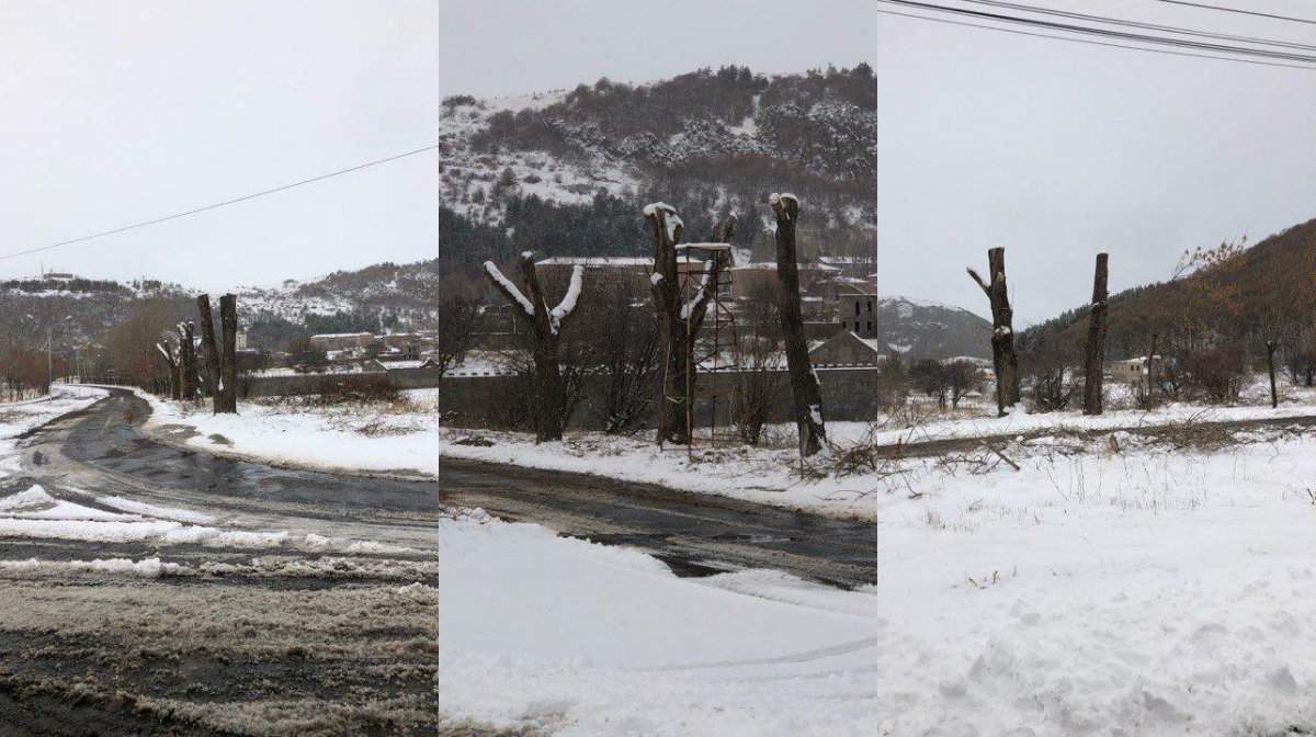 Ջերմուկի քաղաքապետարանը ծառե՞ր է հատել՝ Ամուլսարի ճանապարհները շրջափակողների համար