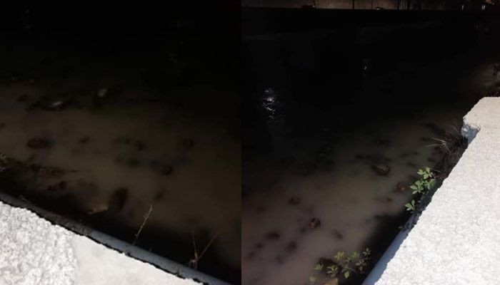 Ջրի պղտոր հոսքը Ողջի գետն էր թափվում այդ հատվածում գործող փոքր ՀԷԿ-ի թունելից. ՀԲՃ